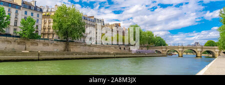 Paris, panorama du Pont-neuf, avec des bâtiments typiques en arrière-plan quai de Conti Banque D'Images