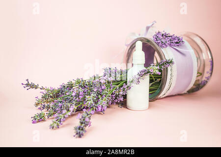 Les produits cosmétiques naturels. Fleurs de Lavande fraîche et bouteille huile essentielle ou de sérum sur fond rose pastel. Accueil Alternative medicine. Close-up, esprit vintage. Banque D'Images