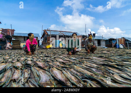 La mer femmes gitanes du séchage du poisson dans Semporna Sabah en Malaisie. Banque D'Images