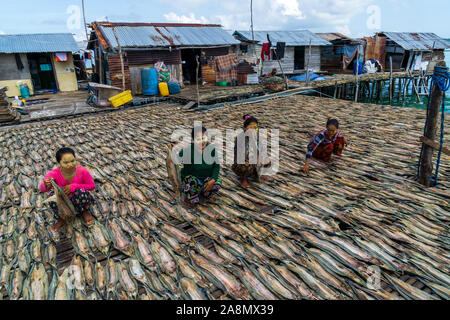 La mer femmes gitanes du séchage du poisson dans Semporna Sabah en Malaisie. Banque D'Images