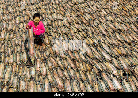 La mer femmes gitanes du séchage du poisson dans Semporna Sabah en Malaisie. Banque D'Images