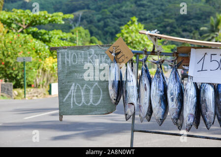 Hung le poisson, tête en bas, les poissons vendus sur la route, Polynésie Française Banque D'Images