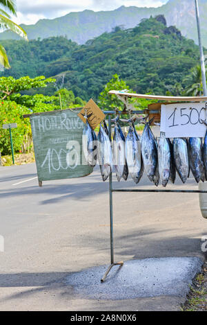 Hung le poisson, tête en bas, les poissons vendus sur la route, Polynésie Française Banque D'Images