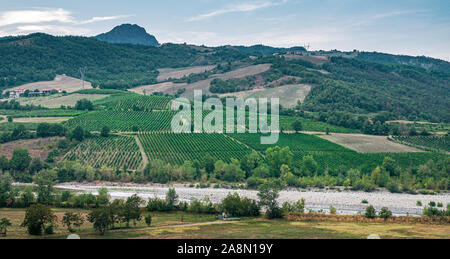 Vignobles le long des rives de la rivière Trebbia, province de Piacenza, Emilie-Romagne, Italie. Banque D'Images