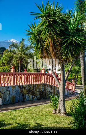 Europa, Spanien, Teneriffa, Kanaren, Kanarische Inseln, Banque D'Images