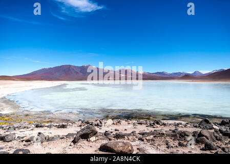 White Lagoon, Laguna Blanca, Eduardo AVaroa réserve nationale, Bolivie Banque D'Images