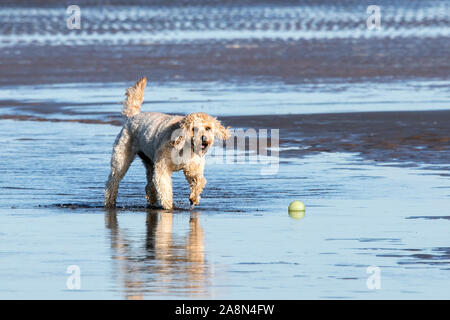 Southport, Royaume-Uni. 10 novembre 2019. Après une semaine de pluie continue, le soleil perce enfin comme des personnes de sortir de l'amusement au soleil sur une journée froide crisp sur la plage de Southport Merseyside. Credit : Cernan Elias/Alamy Live News Banque D'Images