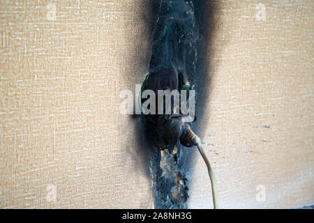 Prise de courant en plastique et d'un fusible brûlé après l'incendie de l'appartement. Sortie de l'Holocauste Banque D'Images