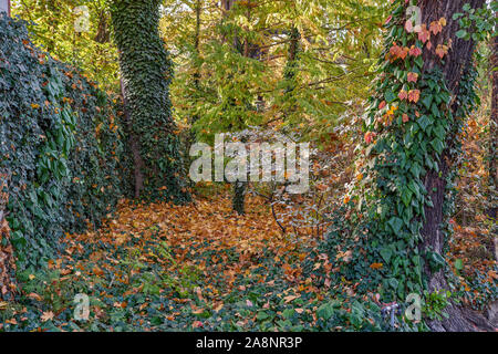 Jardins botaniques de Wroclaw en automne Banque D'Images