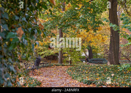 Jardins botaniques de Wroclaw en automne Banque D'Images