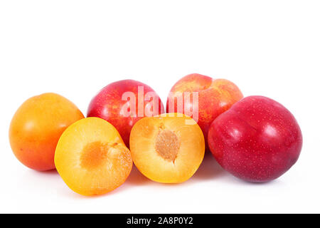 Prunes fraîches sur fond blanc Banque D'Images