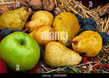 Poires, pommes et prunes bleu. Fruits d'automne ; Banque D'Images