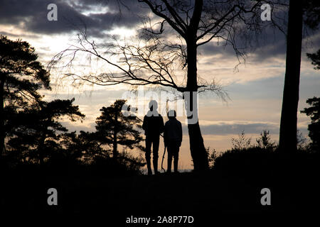 Surrey, UK. 10 Nov, 2019. Deux garçons s'ouvrent sur le ciel d'automne que le soleil descend au-delà de Leigh Hill woodland situé dans les collines du Surrey, England, UK Crédit : Jeff Gilbert/Alamy Live News Banque D'Images