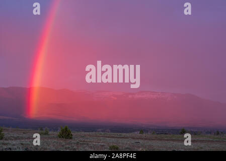 Steens Mountain arc-en-ciel, de l'Oregon. Banque D'Images