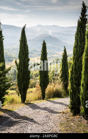 Vue générale sur le Seggiano, la Toscane, l'Italie, l'Europe. Banque D'Images