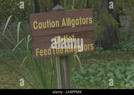 Signe de la Floride met en garde contre le danger et l'audace d'alligators ALLIGATORS MISE EN GARDE indiquant de ne pas nourrir Banque D'Images