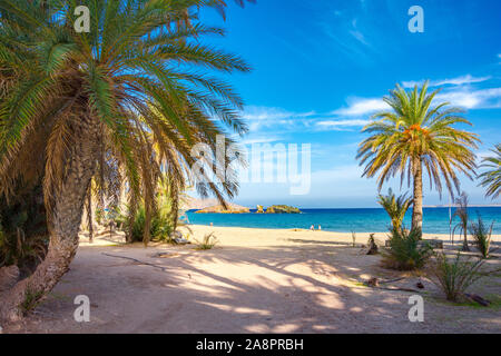 Paysage pittoresque de palmiers, eau turquoise et plage tropicale, Vai, Crète, Grèce. Banque D'Images