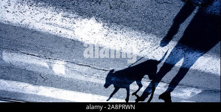 Silhouette d'ombre d'une personne qui marche un chien en laisse et traverser la rue Banque D'Images