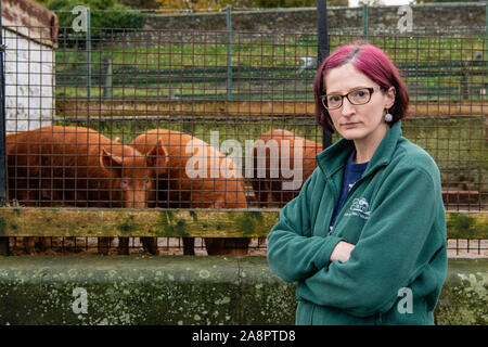 Fermeture de la ferme de Gorgie City Farm, qui est passée en administration. Photo collecteur de fonds Gail Vancker Banque D'Images