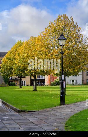 Détail photo paysage d'arbres aux couleurs de l'automne au Wells Cathedral Green Banque D'Images