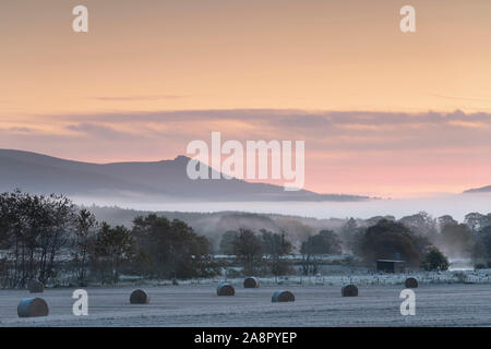 Une vue de la campagne Aberdeenshire à côté de la rivière Don à Alford, regard vers le SEPA Bennachie avec poste de surveillance sur la rive Banque D'Images