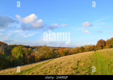 Scènes de pays d'automne près de Downe village, North Downs, Kent. Très populaire auprès des marcheurs et daytripper rom Londres. Par l'aéroport de Biggin Hill. Journée d'automne claire Banque D'Images