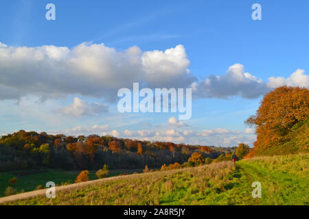 Scènes de pays d'automne près de Downe village, North Downs, Kent. Très populaire auprès des marcheurs et daytripper rom Londres. Par l'aéroport de Biggin Hill. Journée d'automne claire Banque D'Images