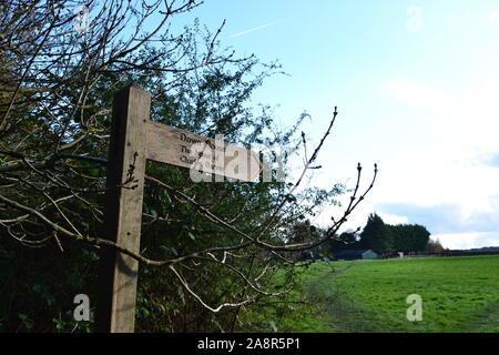 Scènes de pays d'automne près de Downe village, North Downs, Kent. Très populaire auprès des marcheurs et daytrippers depuis Londres. Réseau de sentiers pour les randonneurs. Banque D'Images