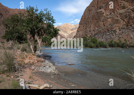 Paysages de la Mongolie, Hovd river Banque D'Images