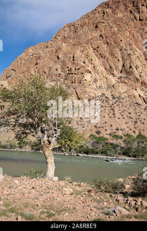 Paysages de la Mongolie, Hovd river Banque D'Images