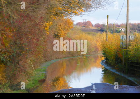 Newton Lane à Fairburn Ings près de Castleford submergé sous l'eau après les inondations dans la région. Banque D'Images