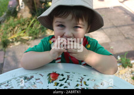 Un jeune enfant en mangeant des fraises comme un bon garçon Banque D'Images