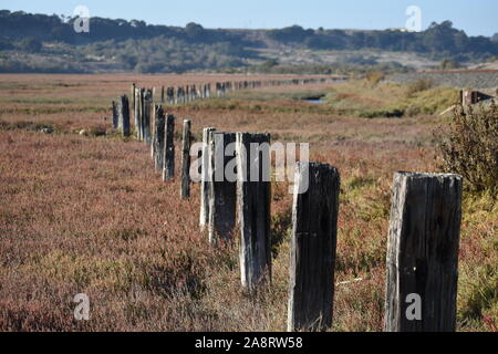 Une rangée de vieux poteaux de clôture, qui s'étend dans la distance à l'Elkhorn Slough. Banque D'Images