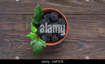 Framboises mûres, framboises, fraises, bleuets, mûres, framboises Groseilles fond de bois, copy space Banque D'Images