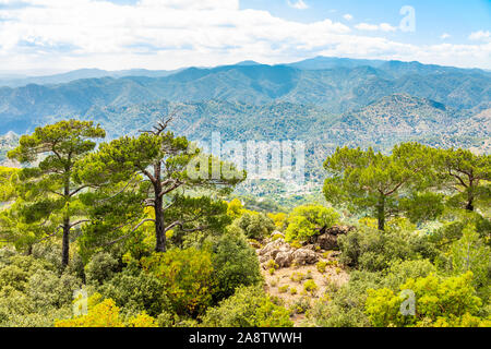 Les cèdres et belle vue sur la vallée, les montagnes de Troodos, à Chypre Banque D'Images