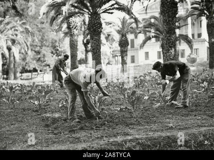 La guerre dans le jardin légumes Villa Torlonia, Rome, Italie 1941 Banque D'Images