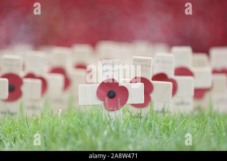 Close up detail de coquelicots commémoratifs et des croix à Hartlepool War Memorial où Brexit leader Nigel Farage est parti assister à l'anniversaire de l'Armistice. Banque D'Images