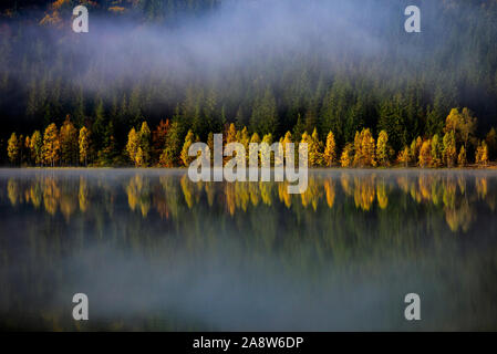 Paysage d'automne dans les montagnes avec des arbres se reflétant dans l'eau au fleuve Ana's Lake, Roumanie Banque D'Images