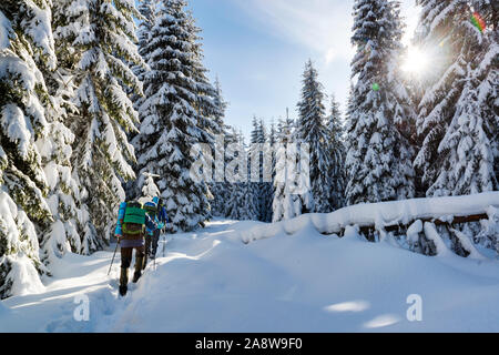 Les randonneurs méconnaissable avec des sacs de randonnée sur sentier en forêt de montagne d'hiver Banque D'Images