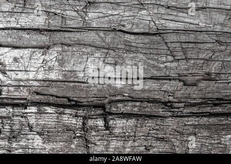 Texture d'une planche de bois sec et vieux couverts avec des fissures et des rayures Banque D'Images