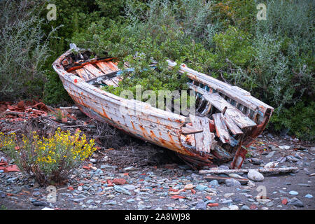 L'épave d'un bateau en bois avec de la végétation cultivée à l'intérieur de lui, sur la berge à Sampatiki, Péloponnèse, Grèce. Banque D'Images
