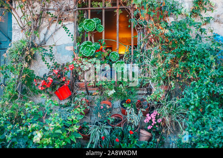 Grille métallique sur la vitre dans une vieille maison en pierre avec un pot de fleur sur le rebord Banque D'Images