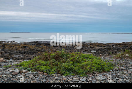 L'aube sur l'océan Atlantique. L'Acadia National Park, Maine, USA. Banque D'Images