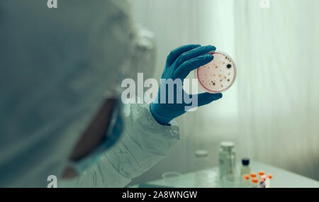Scientist examining petri de virus dans un laboratoire Banque D'Images