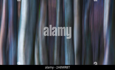 Les arbres dans les bois.Nature résumé créé à l'aide de l'appareil technique du mouvement intentionnel.flou.Fine art ICM.vives et éclatantes de droit pour l'impression. Banque D'Images