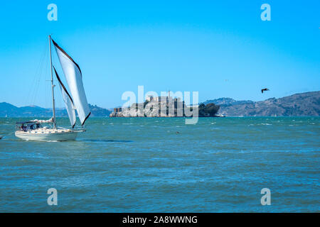 San Francisco, Californie / USA - 18 août 2012 : Yacht voile dans la baie de San Francisco avec l'île d'Alcatraz en arrière-plan Banque D'Images