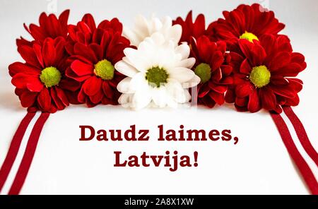 Fleurs chrysanthème rouge et blanc et des rubans de couleurs de drapeau letton sur fond blanc avec message de félicitations "grand bonheur, la Lettonie !'. Banque D'Images