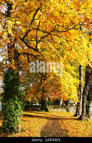 Chemin d'accès à l'lychgate de l'église St Pierre, Sharnbrook, Bedfordshire, Royaume-Uni, entouré par les arbres dans leurs couleurs d'automne Banque D'Images