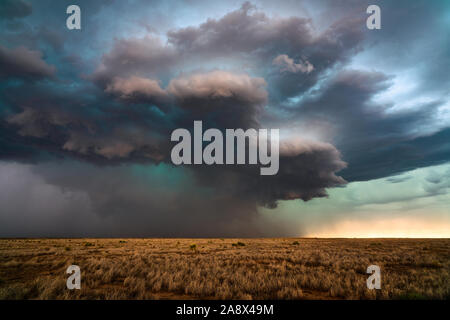 Un orage supercellulaire avec des nuages d'orage spectaculaires lors d'un événement météorologique violent au Nouveau-Mexique Banque D'Images