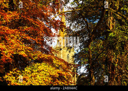 Tour et clocher de l'église St Pierre, Sharnbrook, Bedfordshire, Royaume-Uni, entouré par les arbres dans leurs couleurs d'automne Banque D'Images